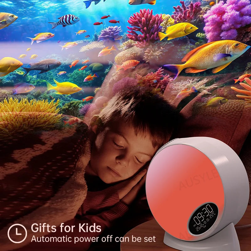 Galaxy Projector Planetarium 13-in-1 - Ultra Clear Meteor Projector voor Kamer Decoratie